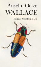 Anselm Oelze, Wallace